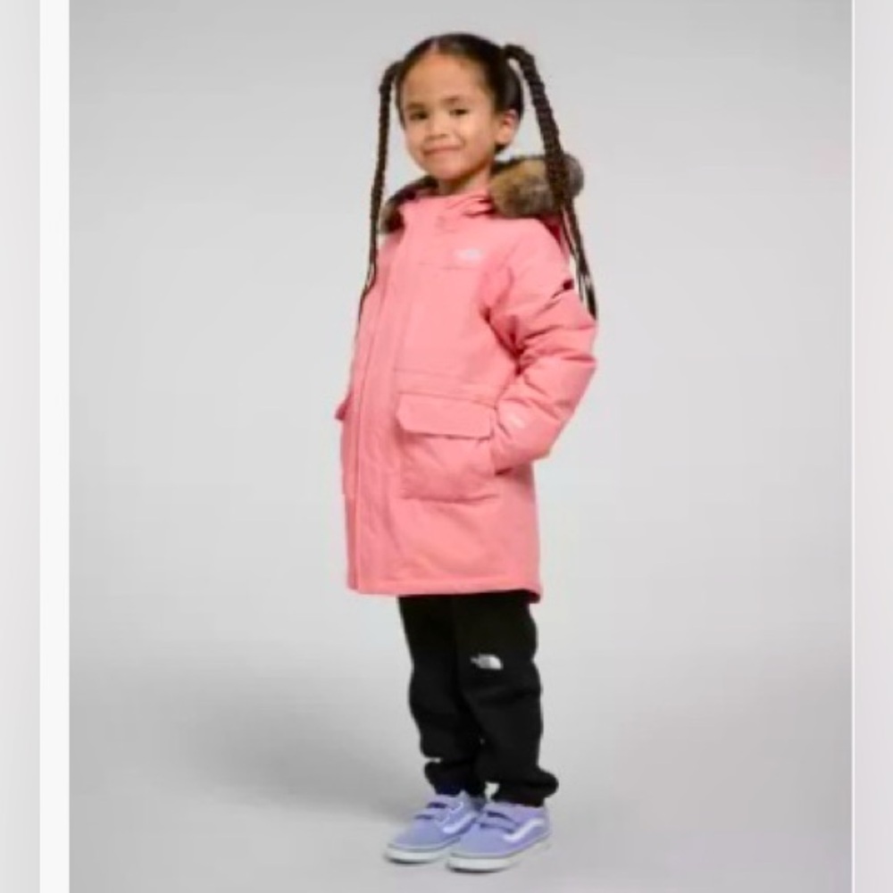 The North Face Arctic Parka (toddler size 4, loved)